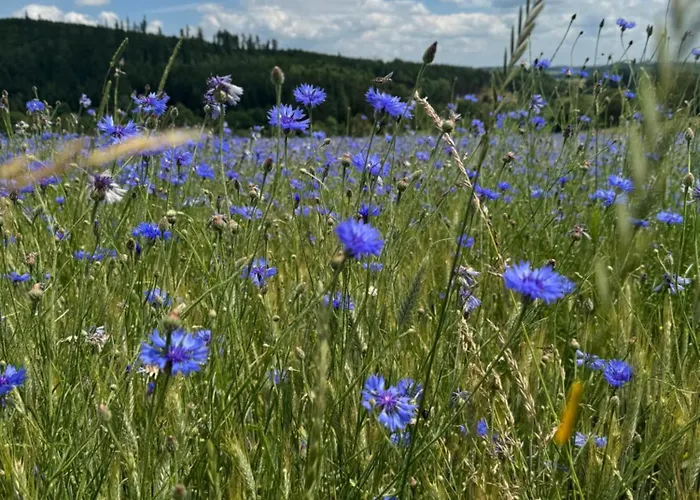 Apartmanyvrbno Relax * Bruntál